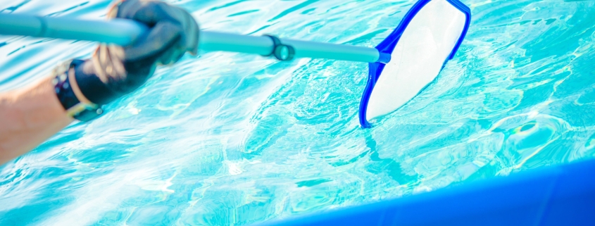 what to look for in a pool cleaning company