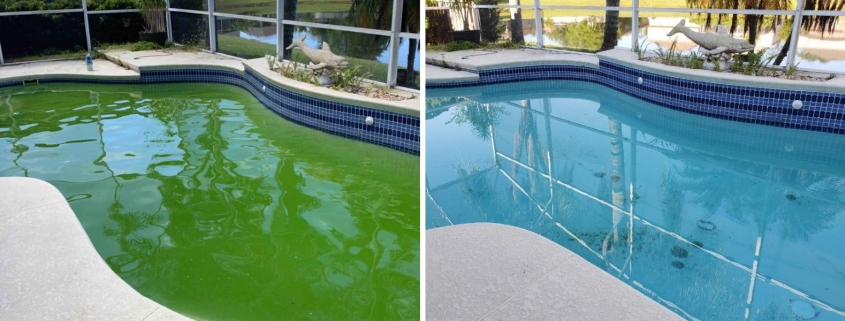 green swimming pool