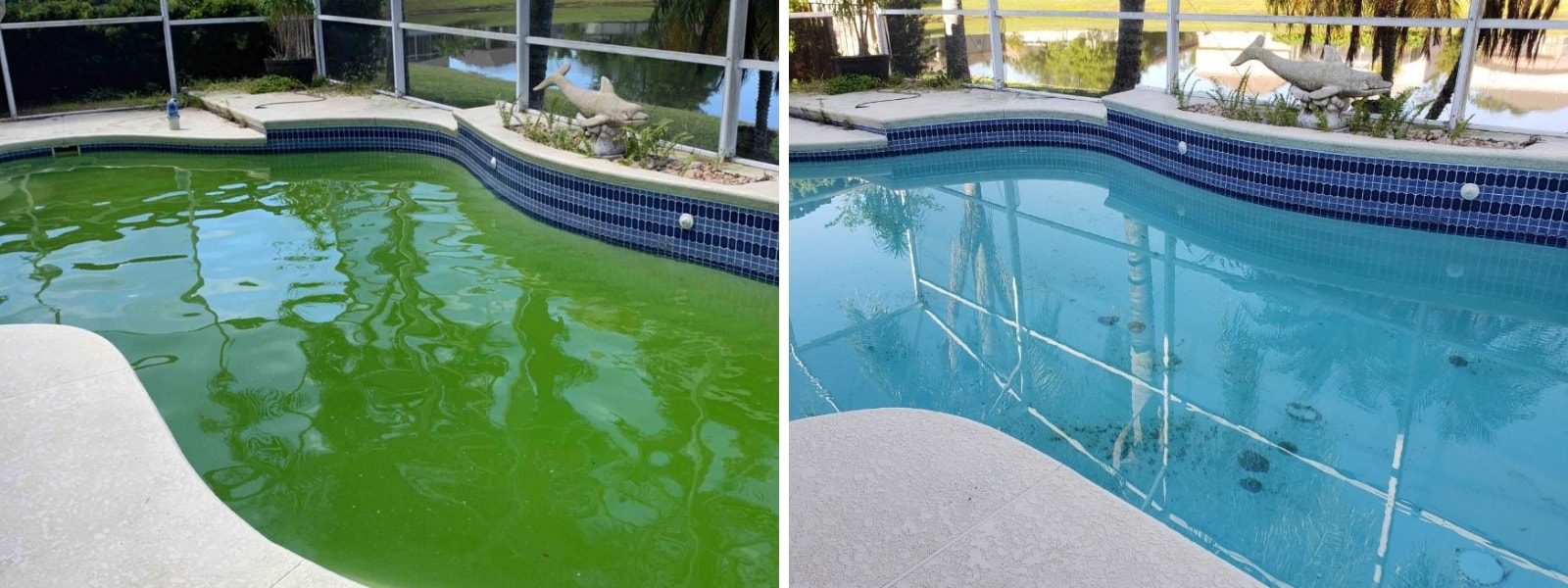 From green to great: How to clean a green swimming pool - Fratelli Pool  Cleaning Service